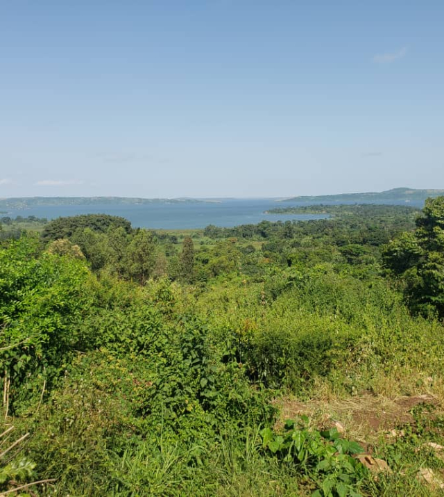 WhatsApp Image 2022-06-04 at 8.51.14 PM.jpeg